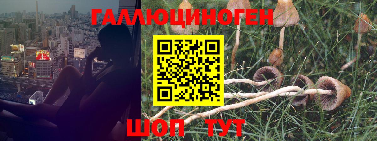 Псилоцибиновые грибы мухоморы  Вход с VPN  что такое наркотик  Малгобек 