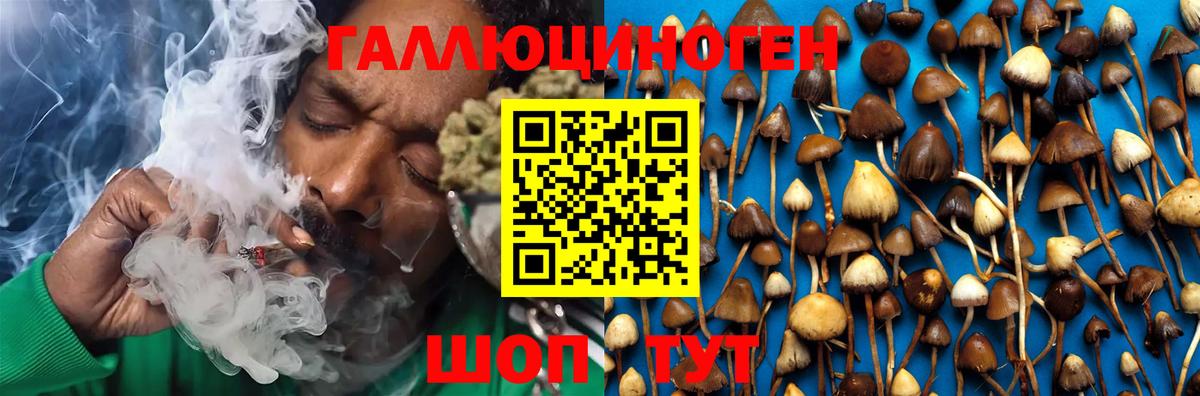Галлюциногенные грибы GOLDEN TEACHER Малгобек